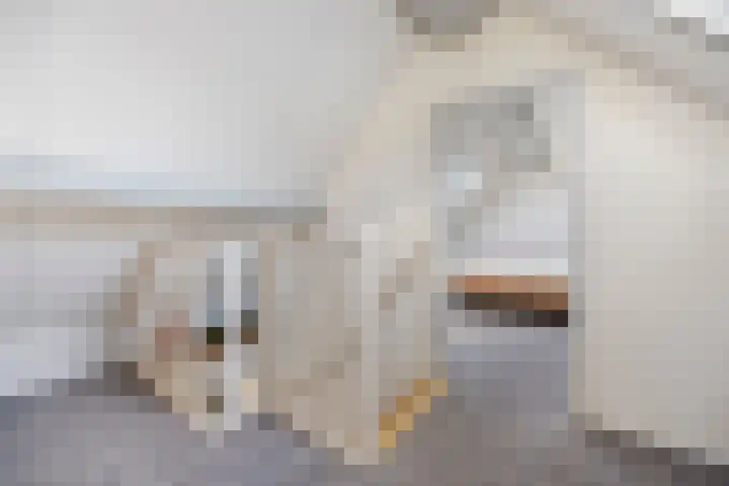 Wethouder Verrietstraat 24 Ooij thumbnail 23