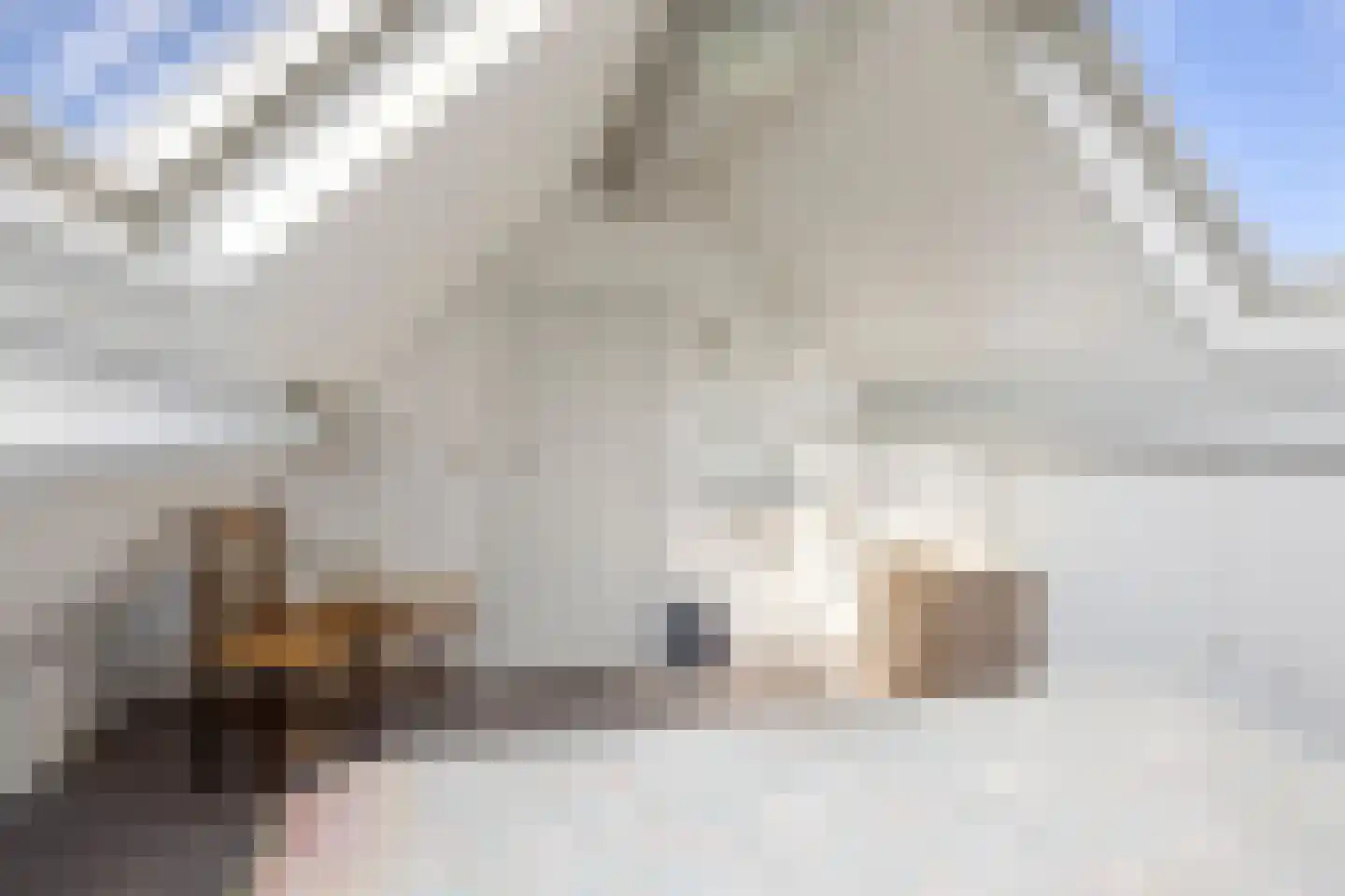 Wethouder Verrietstraat 24 Ooij thumbnail 25