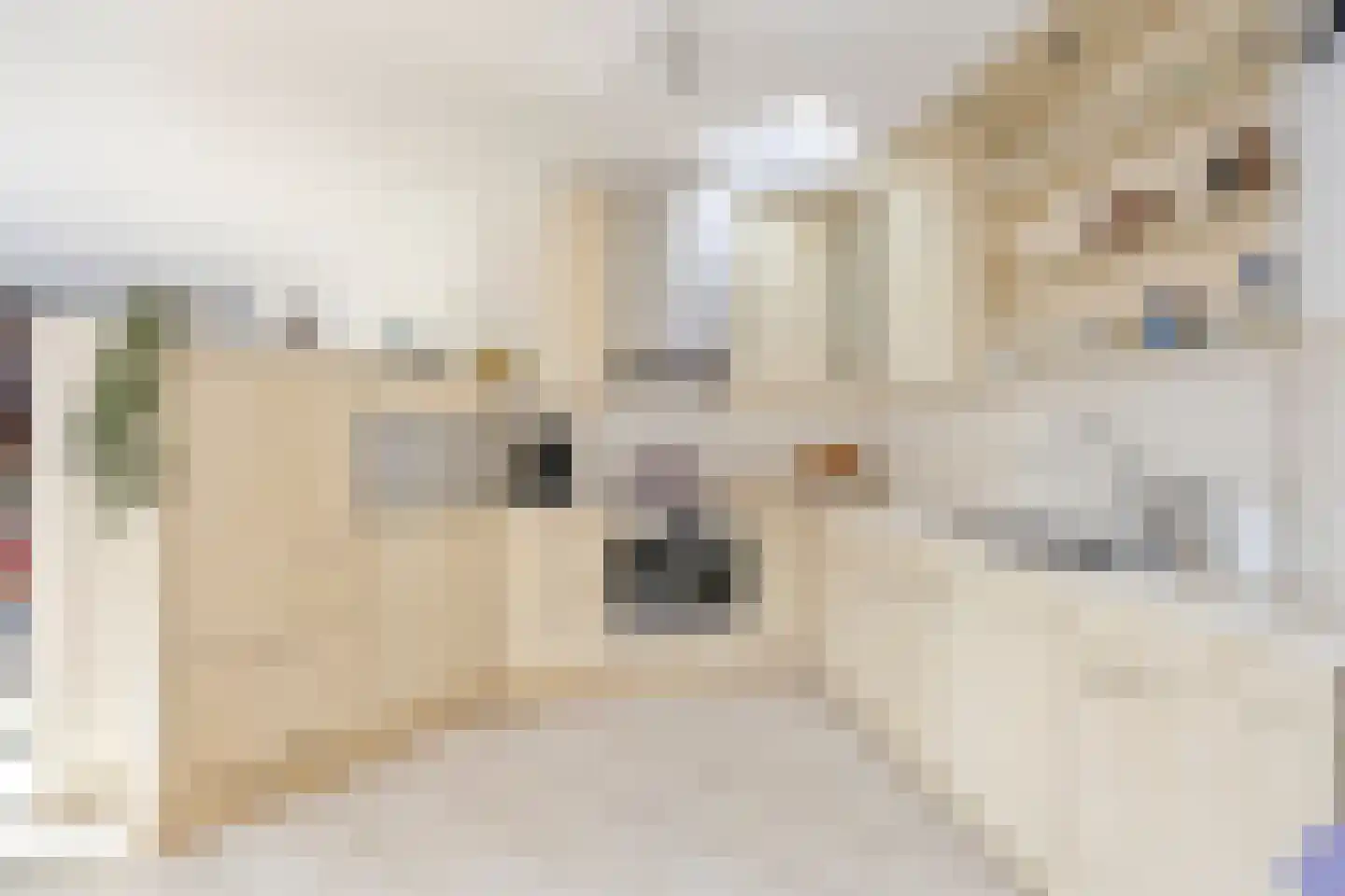 Wethouder Verrietstraat 24 Ooij thumbnail 8