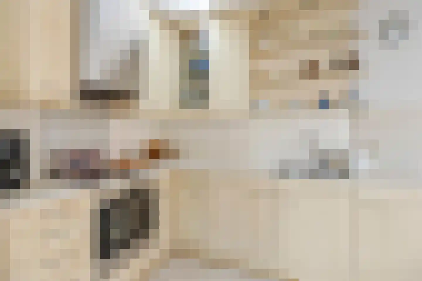 Wethouder Verrietstraat 24 Ooij thumbnail 9