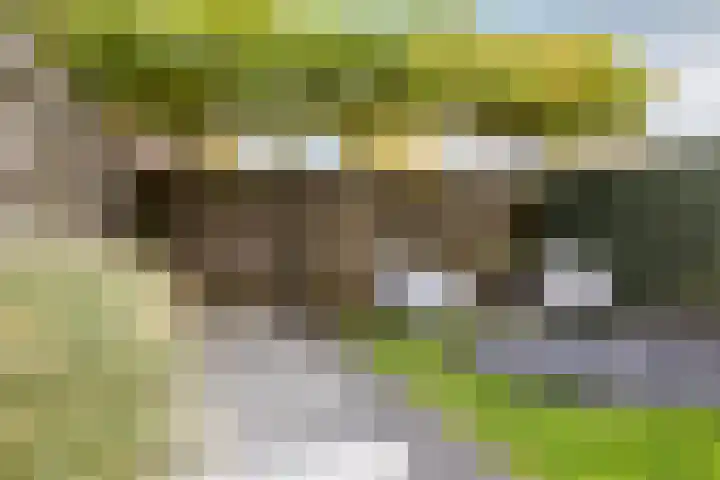 Wethouder Vinkplein 6 Moordrecht thumbnail 35