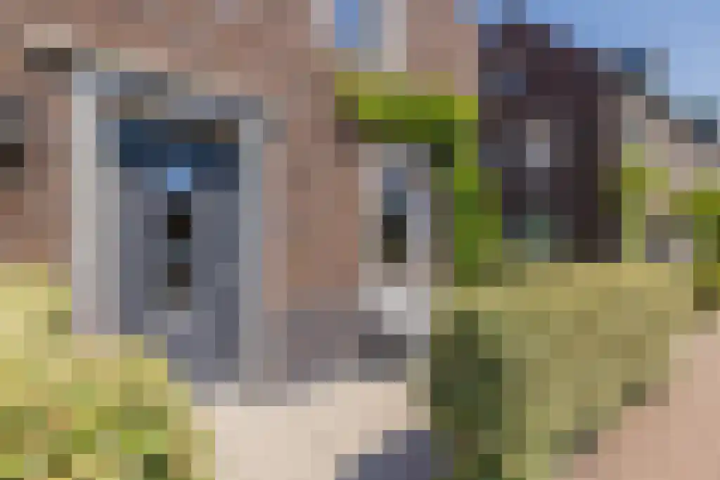 Wethouder Vissingel 11 Valkenburg thumbnail 5