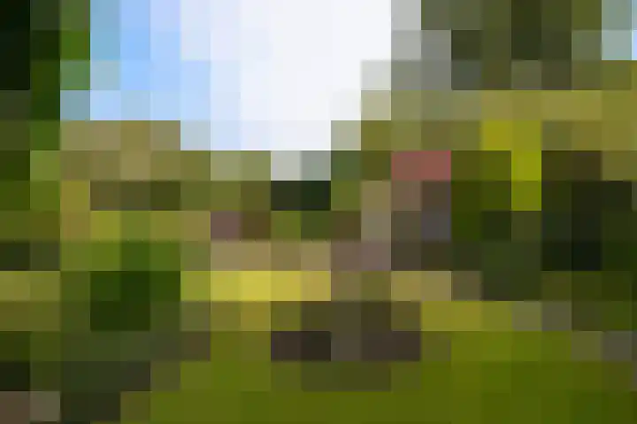 Wethouder Viveenstraat 1 Woudrichem thumbnail 36