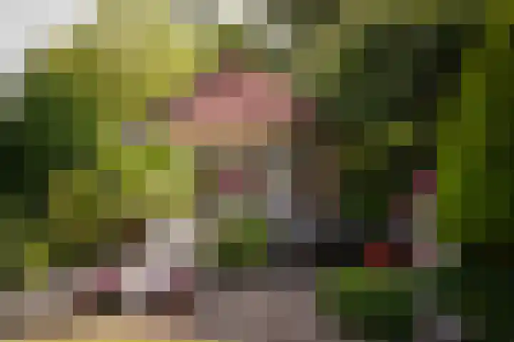 Wethouder Viveenstraat 1 Woudrichem thumbnail 37