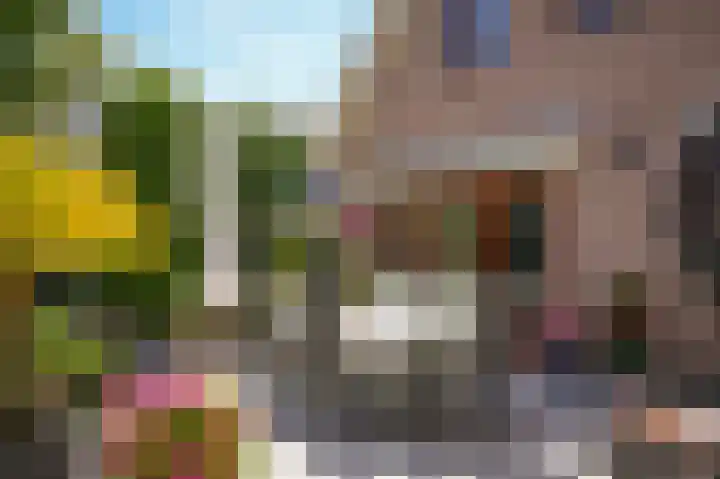 Wethouder Viveenstraat 1 Woudrichem thumbnail 4