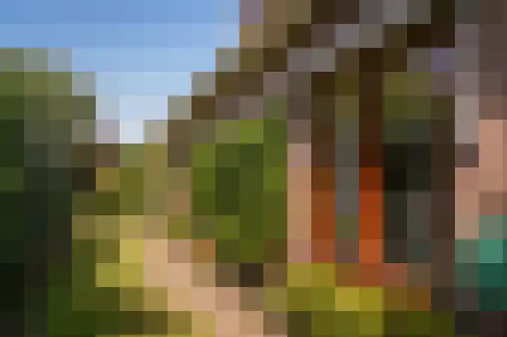 Wethouder Viveenstraat 1 Woudrichem thumbnail 41