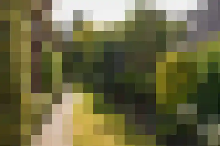 Wethouder Viveenstraat 1 Woudrichem thumbnail 42