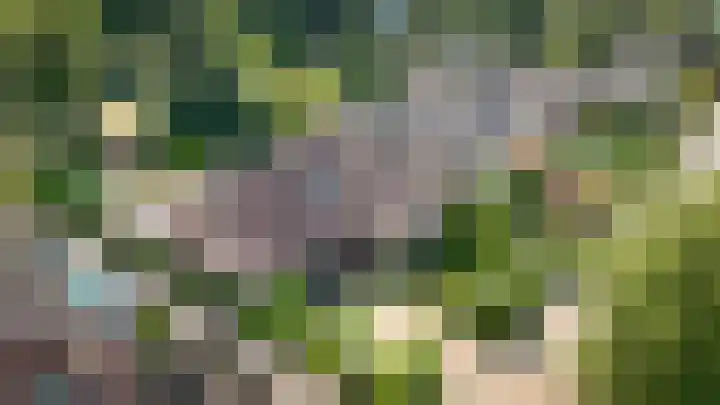 Wethouder Viveenstraat 1 Woudrichem thumbnail 6