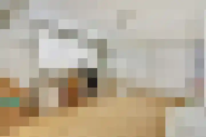Wethouder Viveenstraat 2 Woudrichem thumbnail 37