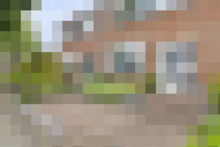 Wethouder Winterinkstraat 24 Rheden thumbnail 4