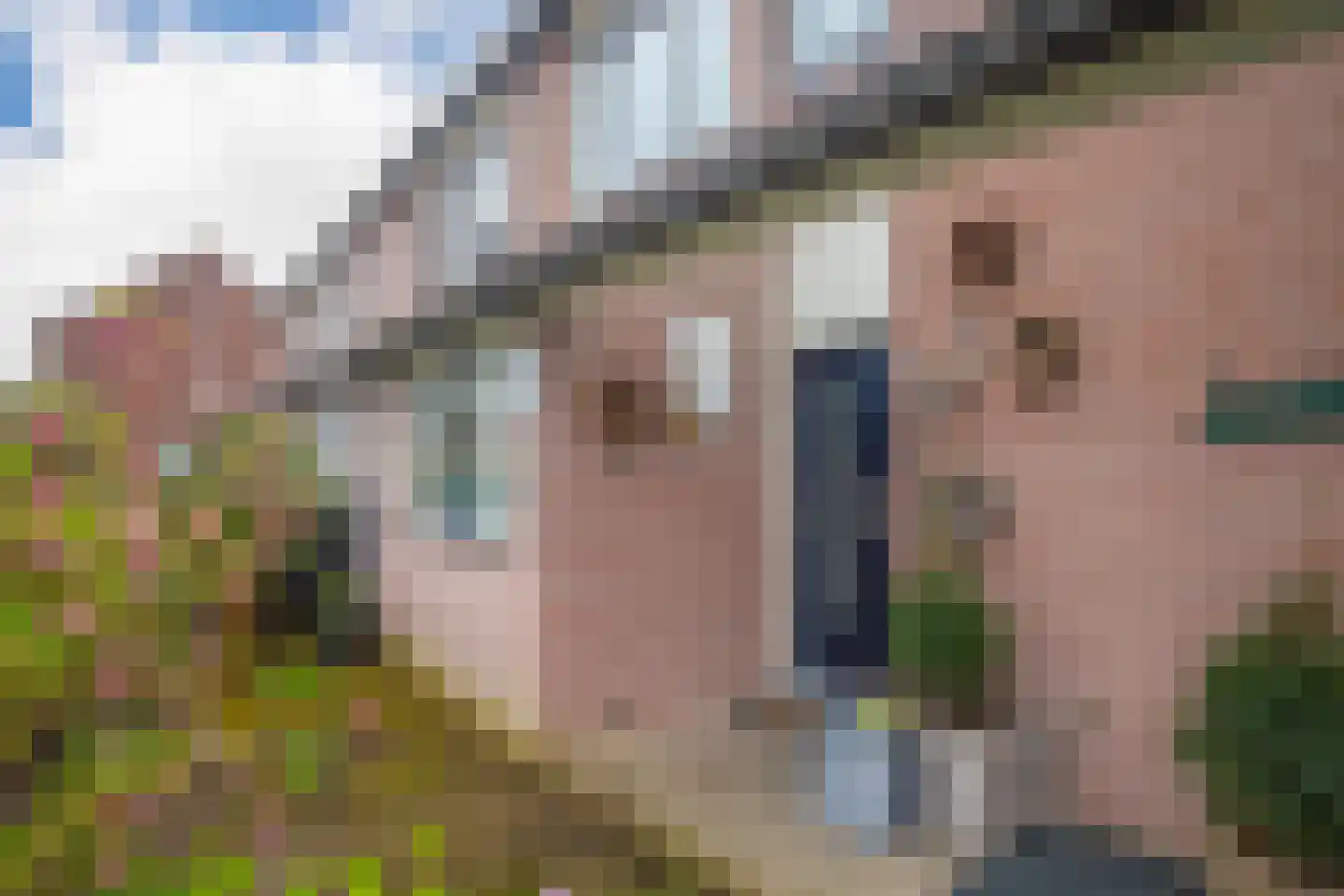 Wethouder Winterinkstraat 64 Rheden thumbnail 7