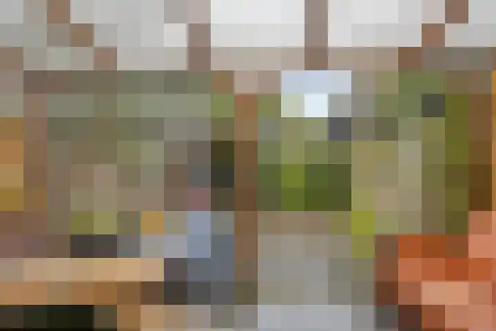 Wethouder Zandbergenlaan 115 Barneveld thumbnail 30
