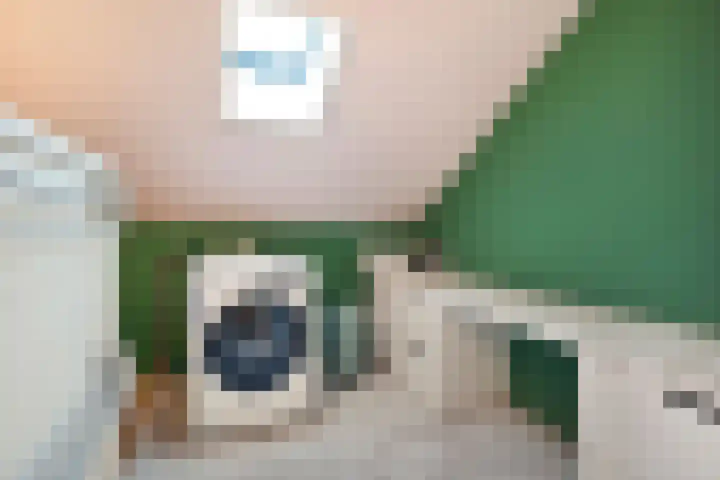 Wethouder Zeefatstraat 17 Tuk thumbnail 36