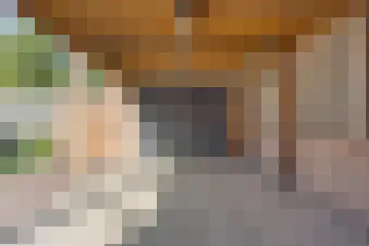 Wethouder Zegersstraat 13 Reek thumbnail 33