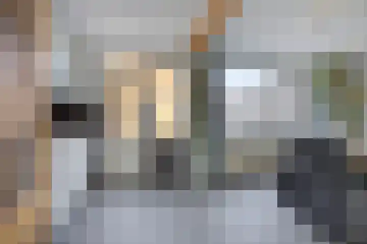 Wethouder Zegersstraat 13 Reek thumbnail 6