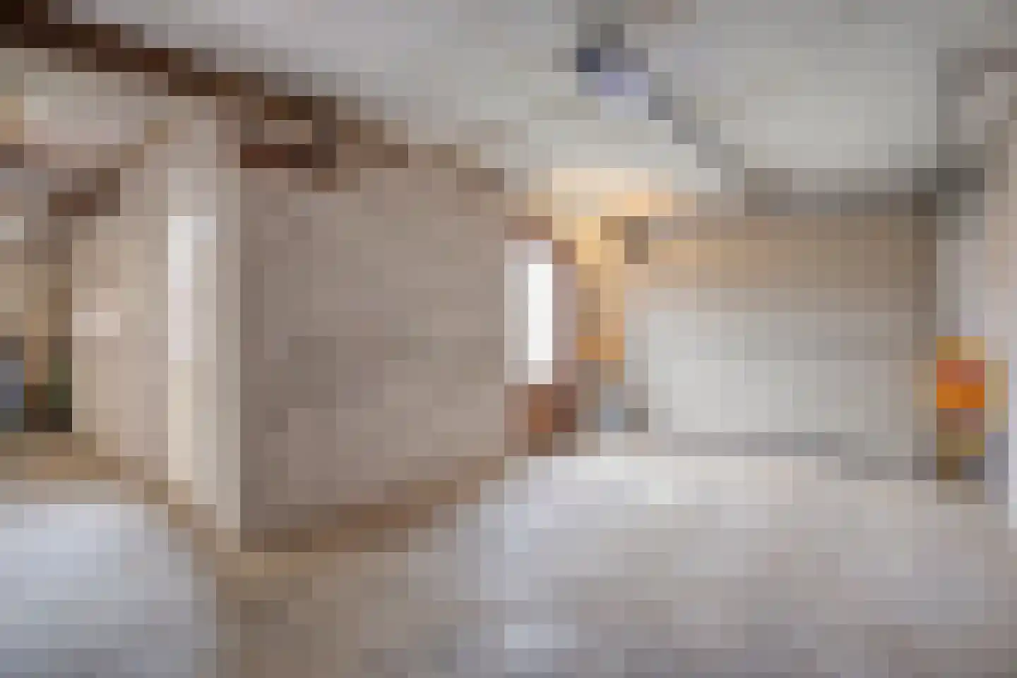 Wethouder Zegersstraat 6 Reek thumbnail 37