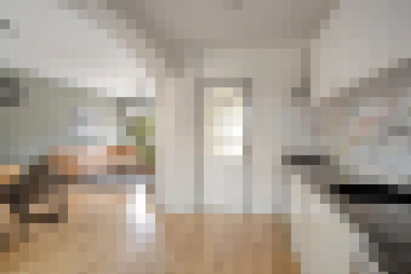 Wethouder Zegersstraat 6 Reek thumbnail 4