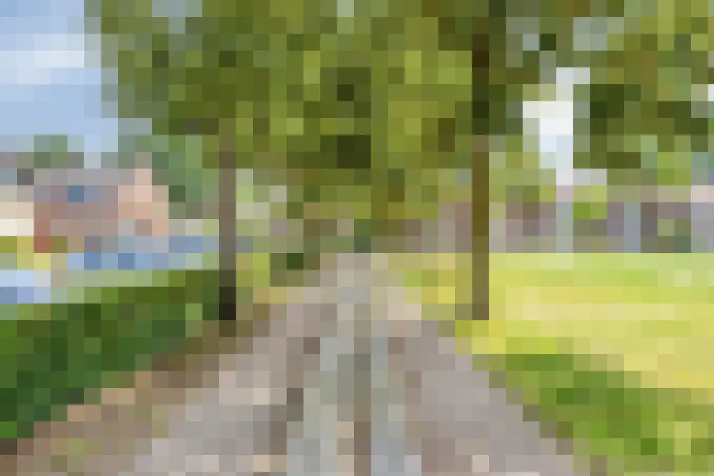 Wethouder Zegersstraat 7 Reek thumbnail 39