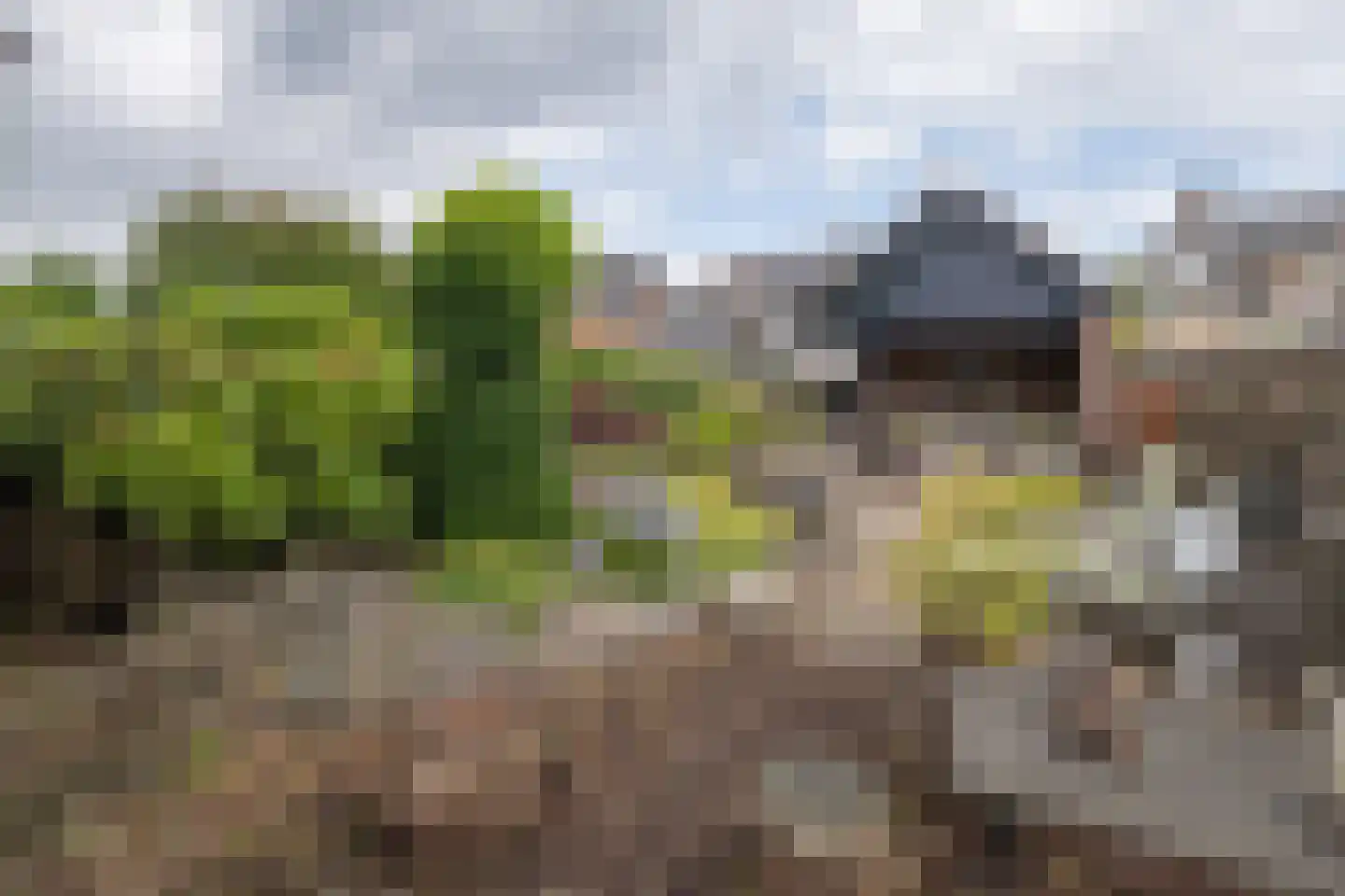 Wethouderslaan 20 Driebergen-Rijsenburg thumbnail 38
