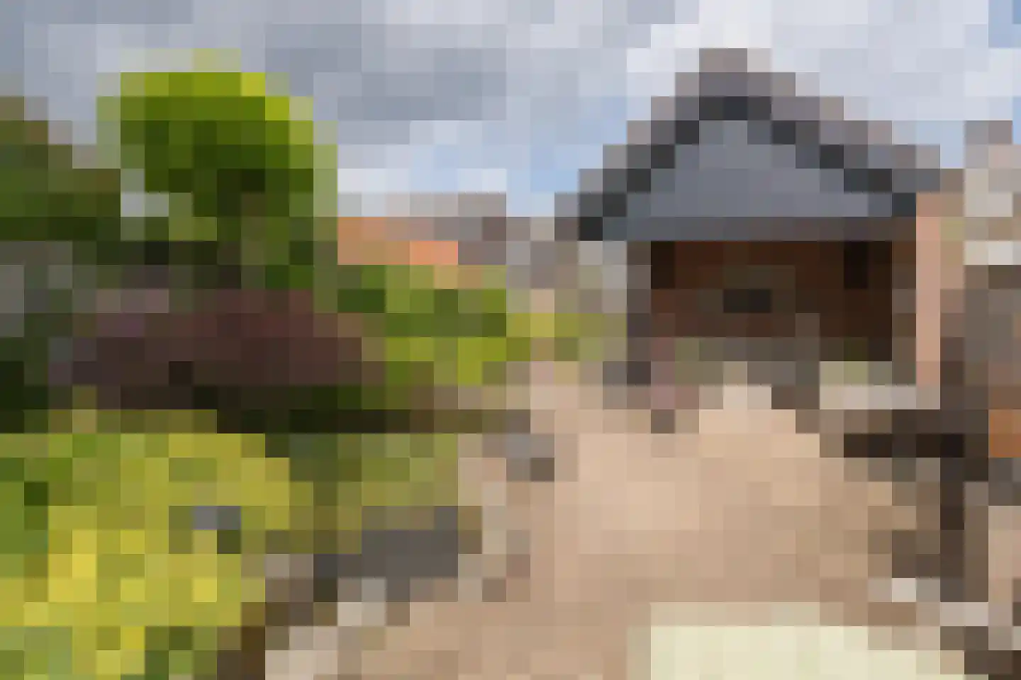 Wethouderslaan 20 Driebergen-Rijsenburg thumbnail 39