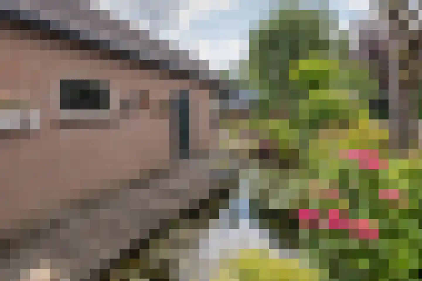 Wethouderslaan 20 Driebergen-Rijsenburg thumbnail 41