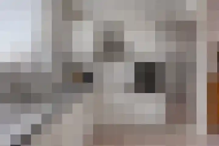 Wethouderslaan 5 Purmerend thumbnail 15