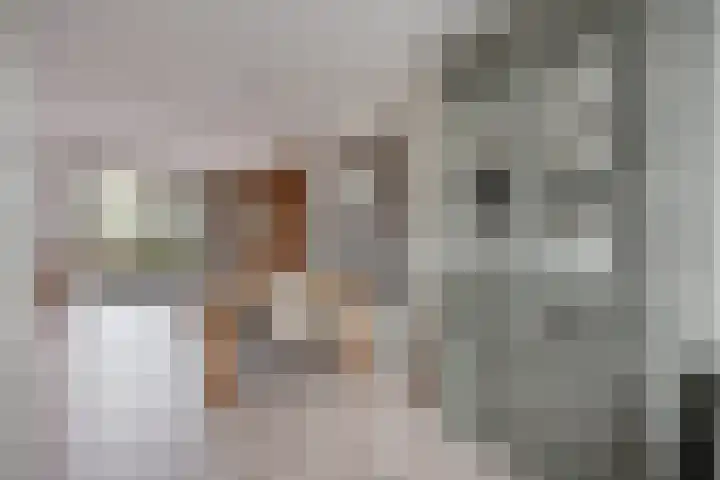 Wethouderslaan 5 Purmerend thumbnail 16