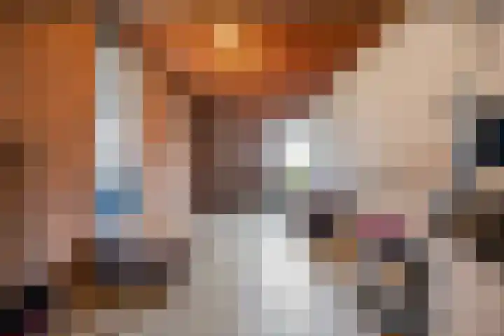 Wethouderslaan 5 Purmerend thumbnail 36