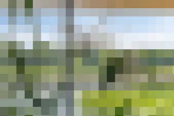 Wetland 14 Lelystad thumbnail 31