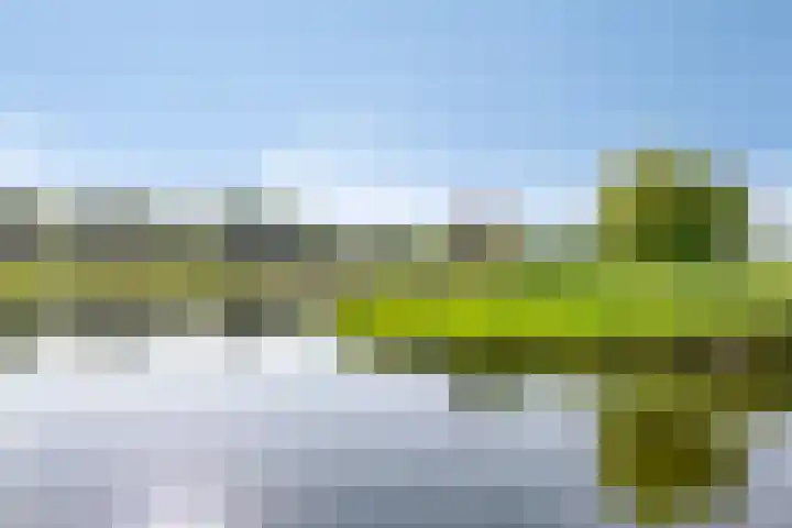 Wetland 14 Lelystad thumbnail 37