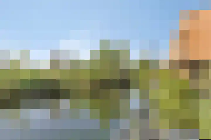 Wetland 14 Lelystad thumbnail 38
