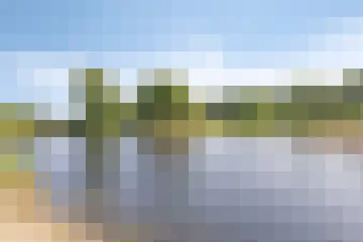 Wetland 14 Lelystad thumbnail 43