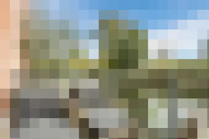 Wetland 2 Lelystad thumbnail 65