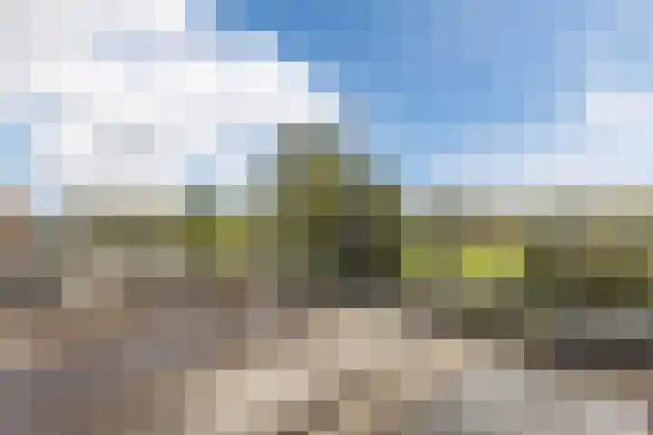 Wetland 2 Lelystad thumbnail 69
