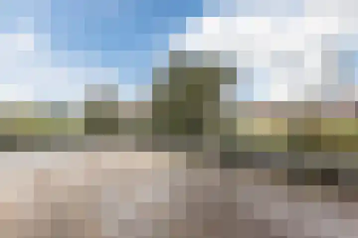 Wetland 2 Lelystad thumbnail 70