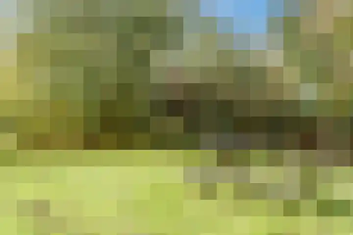 Wetland 2 Lelystad thumbnail 73