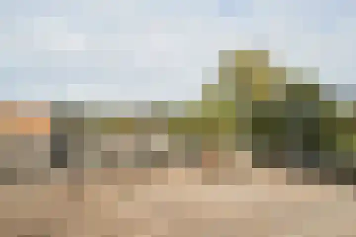Wetland 2 Lelystad thumbnail 78
