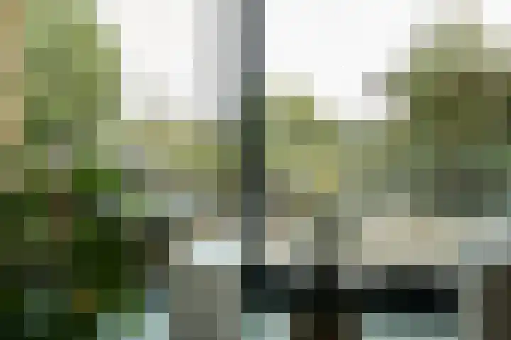 Wetland 2 Lelystad thumbnail 81