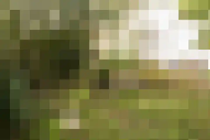 Wetland 2 Lelystad thumbnail 90