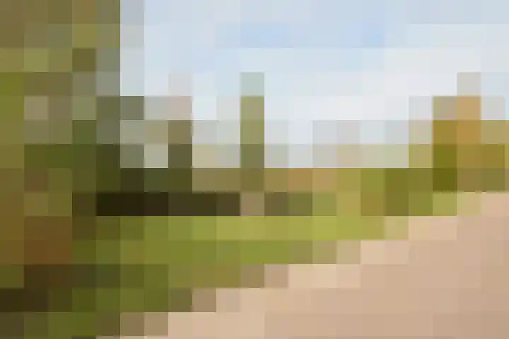 Wetland 2 Lelystad thumbnail 91