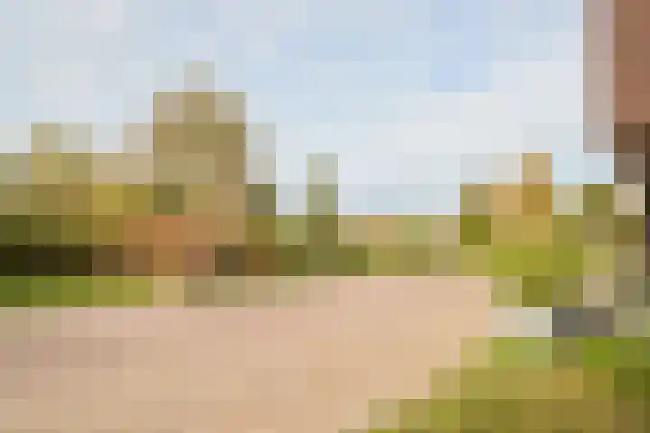 Wetland 2 Lelystad thumbnail 92
