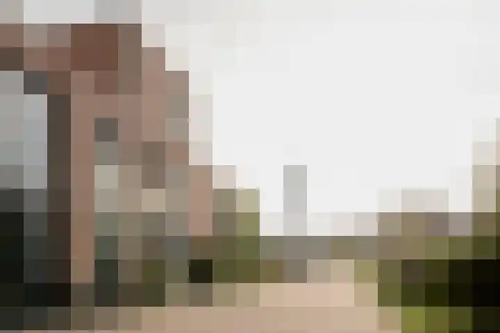 Wetland 2 Lelystad thumbnail 93