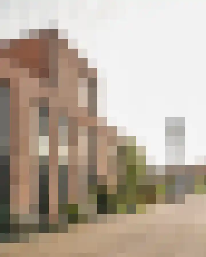Wetland 2 Lelystad thumbnail 94