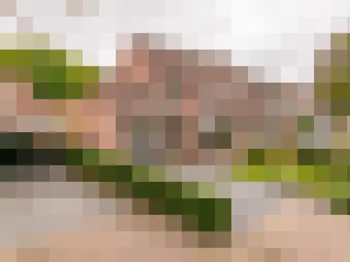 Wetsteen 17 Zuidwolde thumbnail 6