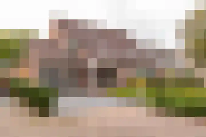 Wetsteen 17 Zuidwolde thumbnail 73