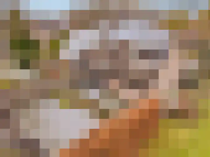 Wetsteen 5 Zuidwolde thumbnail 4