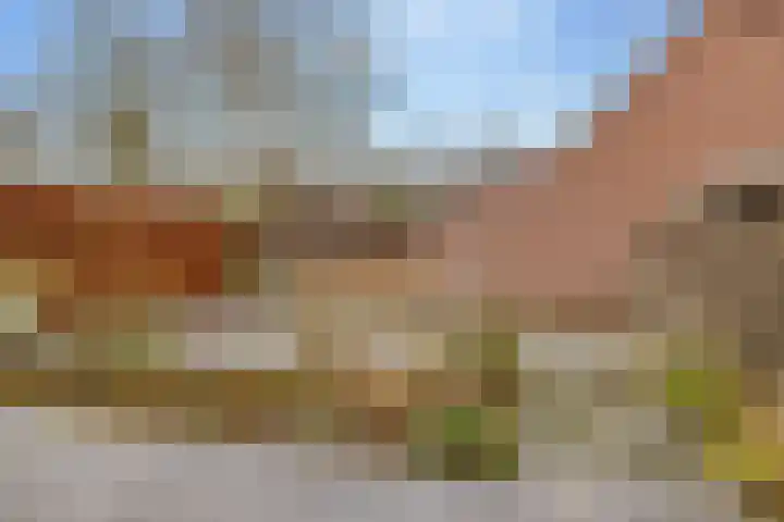 Wetsteen 5 Zuidwolde thumbnail 50