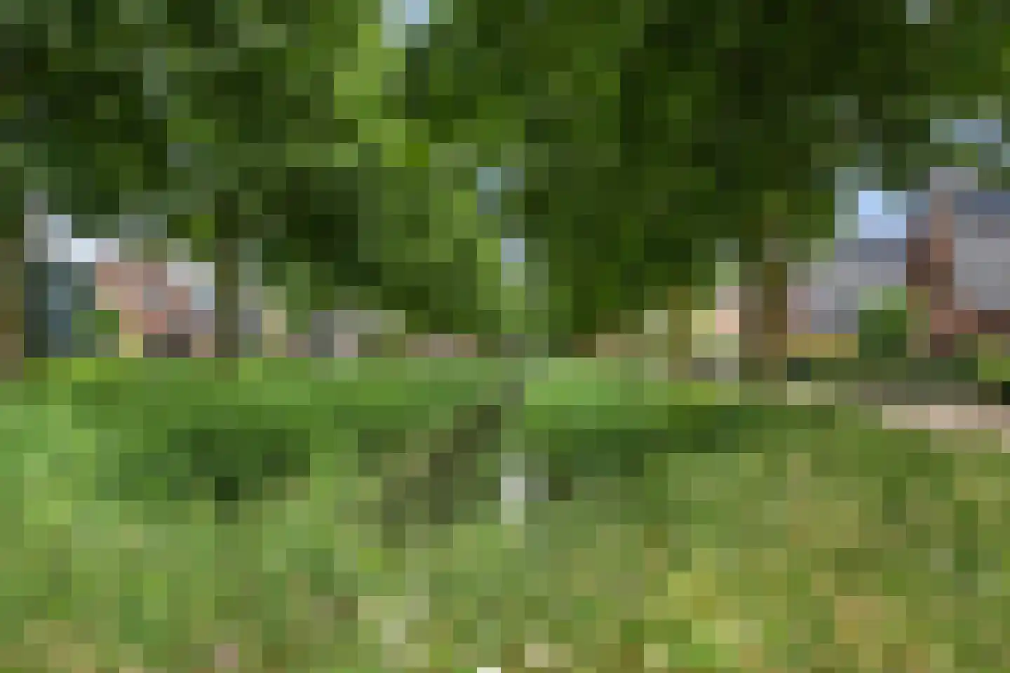 Wetsteenhof 2 Ederveen thumbnail 61
