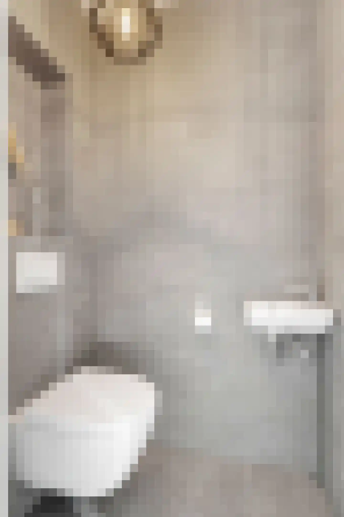 Wetsteenhof 2 Ederveen thumbnail 8