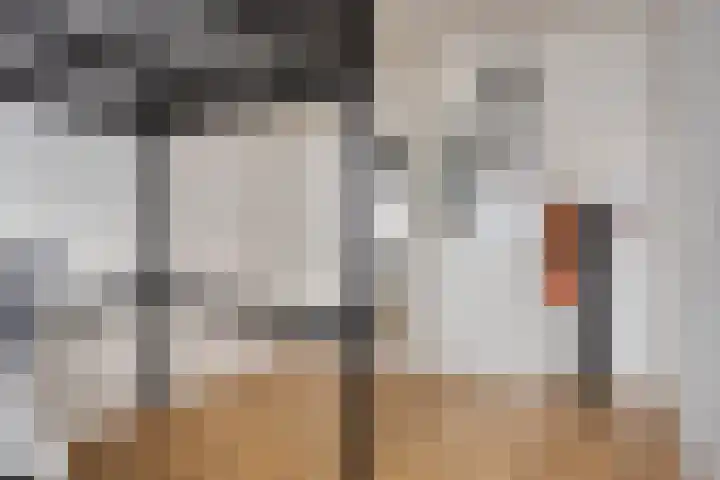 Wetstok 20 Best thumbnail 22
